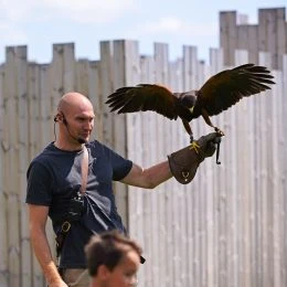 Bird of Prey Show