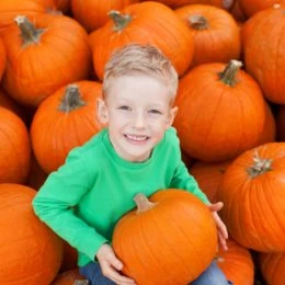 Pumpkin Boy